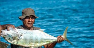 Ikan Berukuran Besar dan Segar Melimpah, Nelayan Pulau Obi Sumringah!