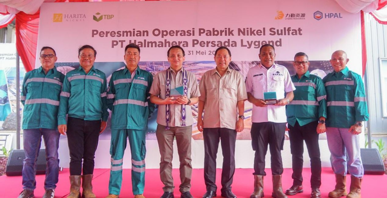 Indonesia Punya Pabrik Nikel Sulfat Terbesar di Dunia, Ini Pemiliknya